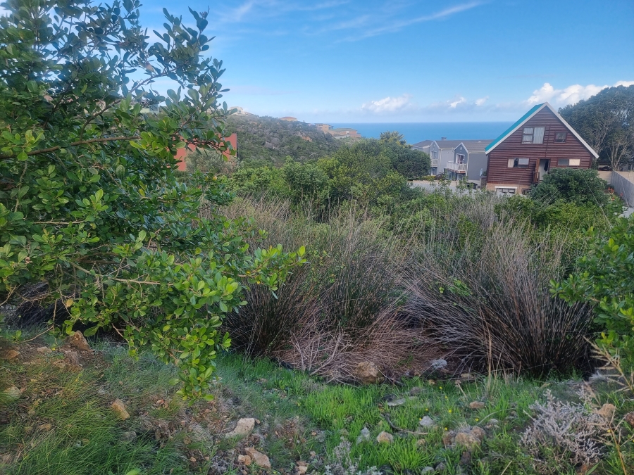 0 Bedroom Property for Sale in Dana Bay Western Cape